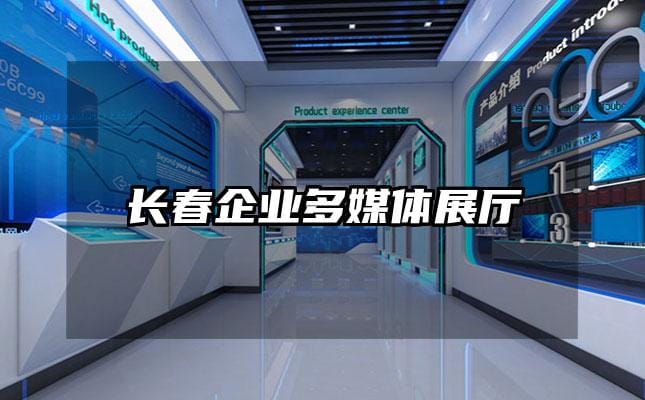 長春企業(yè)多媒體展廳