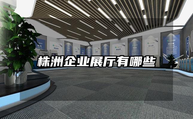 株洲企業(yè)展廳有哪些