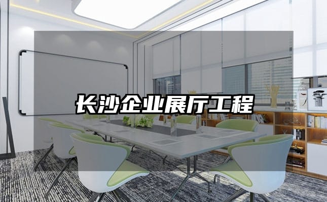 長沙企業(yè)展廳工程