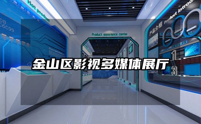 金山區(qū)影視多媒體展廳