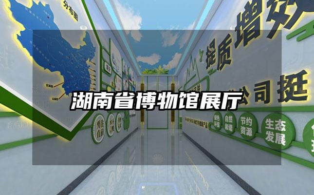 湖南省博物館展廳