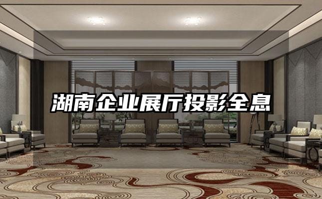湖南企業(yè)展廳投影全息
