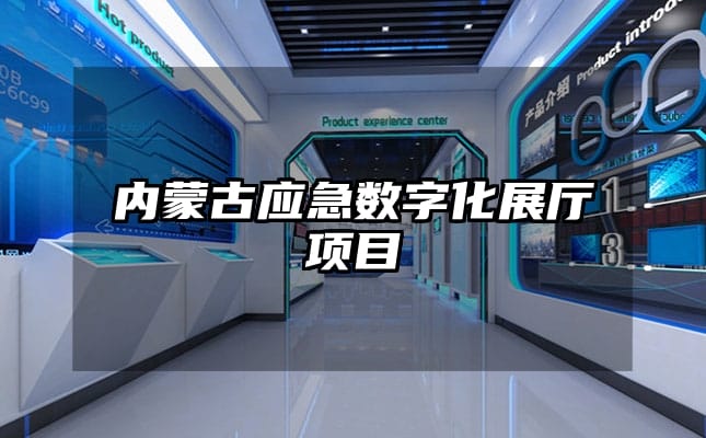內(nèi)蒙古應(yīng)急數(shù)字化展廳項目