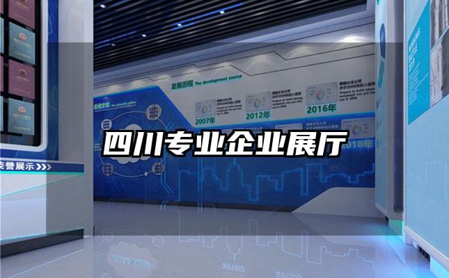 四川專業(yè)企業(yè)展廳