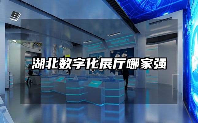 湖北數(shù)字化展廳哪家強