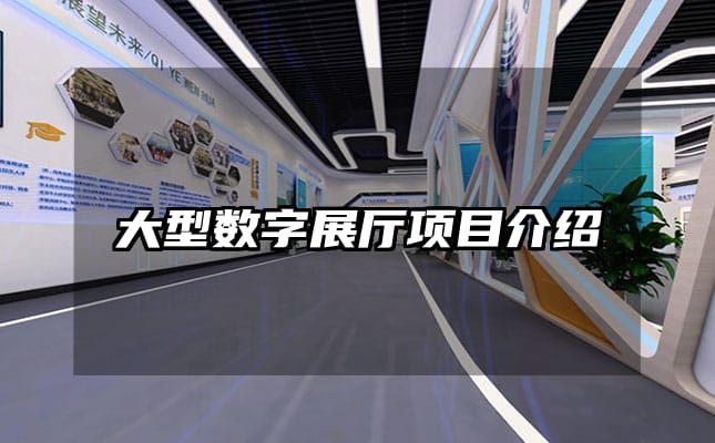 大型數(shù)字展廳項(xiàng)目介紹