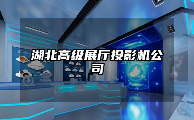 湖北高級展廳投影機公司