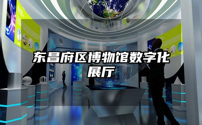 東昌府區(qū)博物館數(shù)字化展廳
