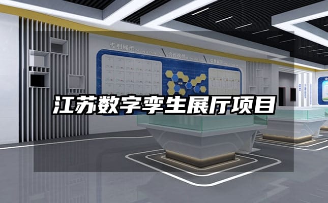 江蘇數(shù)字孿生展廳項(xiàng)目