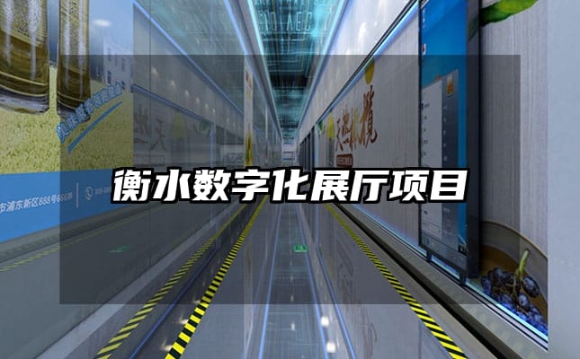 衡水?dāng)?shù)字化展廳項(xiàng)目