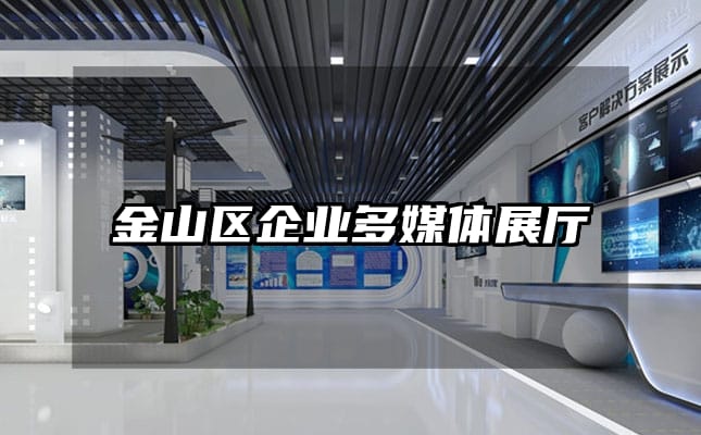 金山區(qū)企業(yè)多媒體展廳