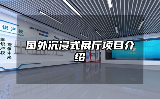 國外沉浸式展廳項(xiàng)目介紹