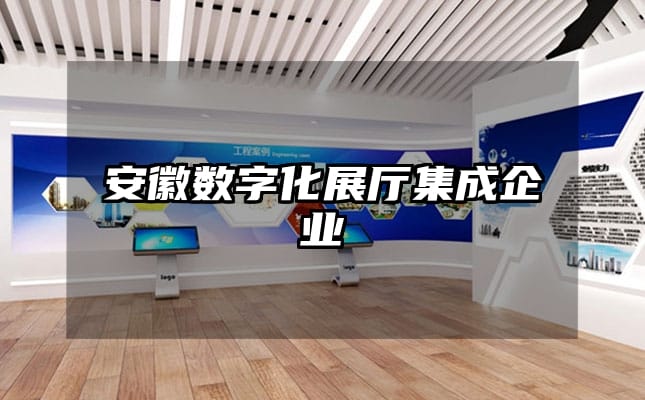 安徽數(shù)字化展廳集成企業(yè)